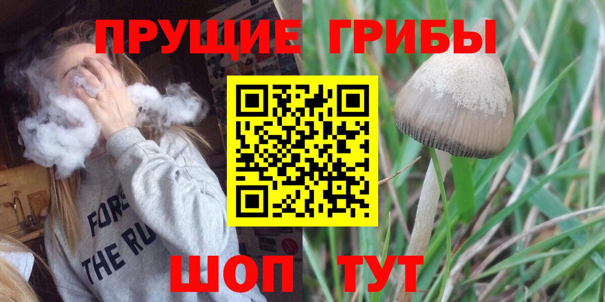 Псилоцибиновые грибы мицелий  Вход с VPN  купить   Златоуст 